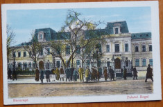 Bucuresti ; palatul Regal , animatie , color , inceput de secol 20 foto