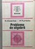 PROBLEME DE ALGEBRA - C. Cosnita, F. Turtoiu