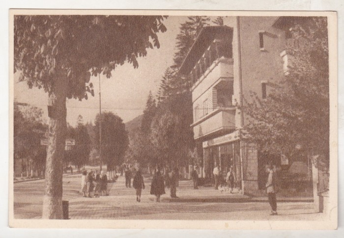 bnk cp Sinaia - Vedere - uzata