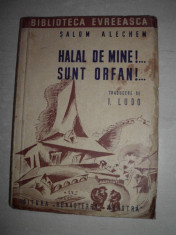 Bibliotce evreeasca- SALOM ALECHEM- HALAL DE MINE !...SUNT ORFAN foto