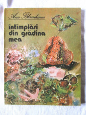 &amp;quot;INTAMPLARI DIN GRADINA MEA&amp;quot;, Ana Blandiana, 1986. Ilustratii de Doina Botez foto