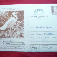 Carte Postala ilustrata - Fauna - Egreta ,cod 135/1977 ,poezie originala pe spat