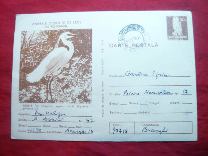 Carte Postala ilustrata - Fauna - Egreta ,cod 135/1977 ,poezie originala pe spat