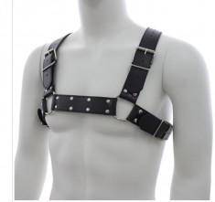 Male Harness, Ham Fetish, Haine BDSM pentru El foto