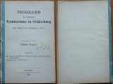 Cumpara ieftin Schesaus , Ruina panonica , in Programul Gimnaziului Protestant , Sibiu , 1873