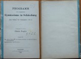 Schesaus , Ruina panonica , in Programul Gimnaziului Protestant , Sibiu , 1873