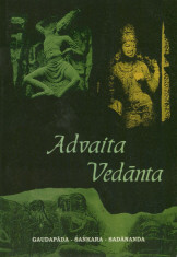 Ovidiu Cristian Nedu - Advaita Vedanta - 694000 foto