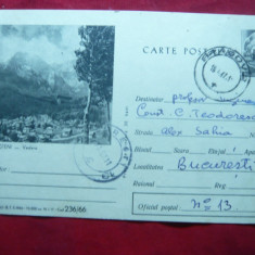 Carte Postala ilustrata - Busteni cod 236/66 ,tiraj mic