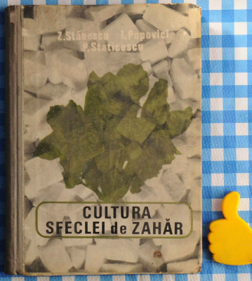 Cultura sfeclei de zahar Z Stanescu I Popovici P Staticescu foto