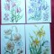 Set 7 Maxime -Flori Ungaria 1985
