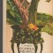 (C7035) GEORGE CALINESCU - SCRINUL NEGRU