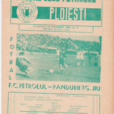 Program meci fotbal PETROLUL PLOIESTI - PANDURII TARGU-JIU 16.11.1980