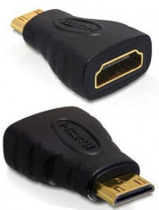 Adaptor Delock 65244 de mare viteza HDMI C (mini) tata la A (mare) mama foto