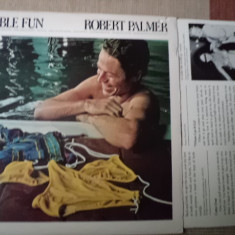 Robert Palmer double fun 1978 album disc vinyl lp muzica pop rock island rec VG+