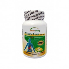 Mastic Gum 30 cps Smart Living foto