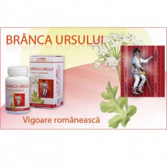 Branca Ursului 60Cpr Dacia Plant foto