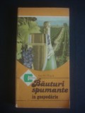 ION M. PUSCA - BAUTURI SPUMANTE IN GOSPODARIE