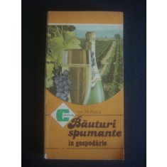 ION M. PUSCA - BAUTURI SPUMANTE IN GOSPODARIE