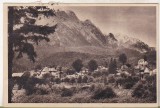 bnk cp Busteni - Vedere spre Bucegi - circulata 1955