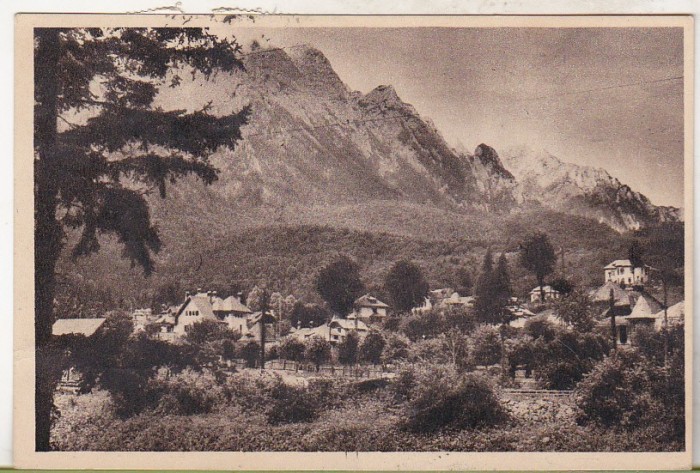 bnk cp Busteni - Vedere spre Bucegi - circulata 1955
