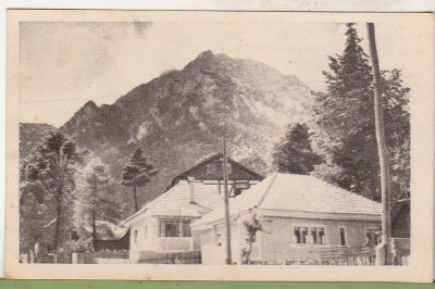 bnk cp Busteni - Vedere spre Caraiman - circulata 1956 foto