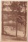 Foto  - 1