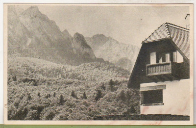bnk cp Busteni - Vedere spre Costila - circulata 1957 foto