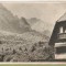 bnk cp Busteni - Vedere spre Costila - circulata 1957