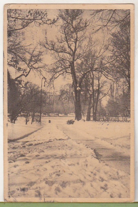 bnk cp Bucuresti - In Cismigiu - Peisaj de iarna - circulata 1955