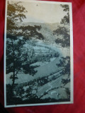 Ilustrata Valea Oltului cca.1960, Necirculata, Fotografie