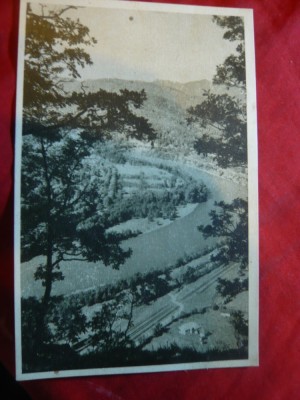 Ilustrata Valea Oltului cca.1960 foto
