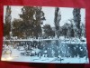Ilustrata Oradea - Baile Felix , anii &#039;60, Circulata, Fotografie