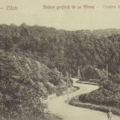 ZALAU , VEDERE PARTIALA DE PE MURES , CIRCULATA 1927