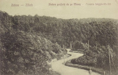 ZALAU , VEDERE PARTIALA DE PE MURES , CIRCULATA 1927 foto