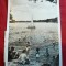 Ilustrata Bucuresti - Lacul Floreasca , circ. 1956
