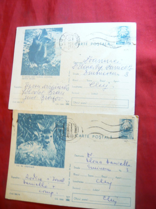 2 Carti Postale Ilustrate- Fauna -Dropie si Pui de Caprioara 1970