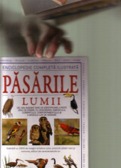 Pasarile lumii foto