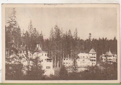 bnk cp Borsec - Case de odihna - circulata 1956 foto