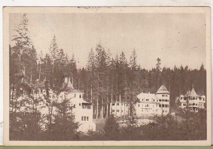 bnk cp Borsec - Case de odihna - circulata 1956