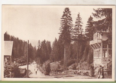 bnk cp Borsec - Spre izvoare - necirculata foto