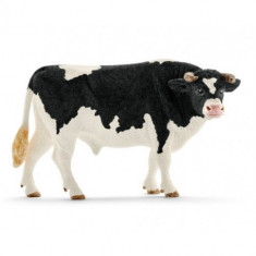 Taur Holstein foto