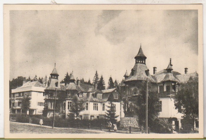 bnk cp Borsec - Vedere - uzata
