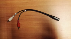 Cablu Adaptor 2Rca Tata - Jack 3, 5 Mama (AL) foto