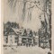 bnk cp Predeal - Vedere - circulata 1956