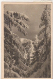 Bnk cp Postavarul - Peisaj de iarna - circulata 1953, Printata