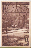 Bnk cp Tusnad - In parc - uzata 1951, Circulata, Printata, Baile Tusnad