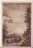 bnk cp Predeal - Vedere - circulata 1958