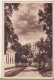 Bnk cp Covasna - Parcul - circulata 1953, Printata