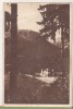 Bnk cp Tusnad - Vedere spre strand - circulata 1952, Printata, Baile Tusnad