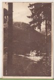 Bnk cp Tusnad - Vedere spre strand - circulata 1952, Printata, Baile Tusnad
